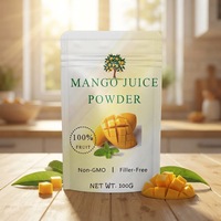Poudre de mangue de qualité alimentaire pure, lyophilisée, sans sucre ajouté, sans additifs, pour la pâtisserie, les smoothies, le yaourt
