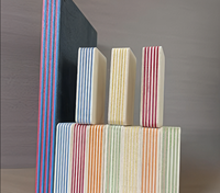 Panneau de contreplaqué marin en bouleau coloré 1220x2440x18mm, plaqué phénolique, super résistant à l'humidité, pour meubles