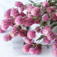 Magnifiques fleurs roses en boule, fleurs séchées, globe amarante naturel, gomphrena globosa séchée, panier en bambou décoratif pour la remise des diplômes