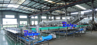 Baiyu Automatische Fruit Blancheringsmachine voor Appel- en Perzikverwerkingsfabriek met Continu Verwarmingssysteem