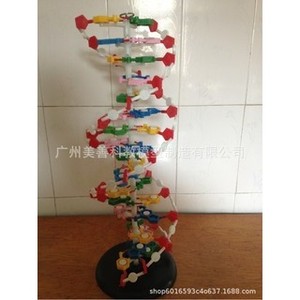 ดีเอ็นเอ/J3330660 - Product Image 2