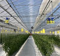 Serres de film plastique multi-travées pour l'agriculture commerciale Serre de système hydroponique pour légumes fruits fleurs