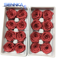 Importation de roses d'Équateur naturelles fleurs conservées bon marché en gros