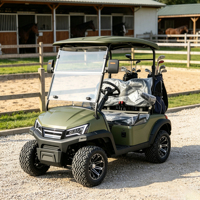 Voiturette de golf électrique 72V 4 places 5kW, couleur de carrosserie personnalisable, rangement supplémentaire, certifiée DOT pour les quartiers américains