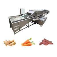 Ligne de lavage, de nettoyage, de séchage, de traitement et de tri pour les gros légumes (gingembre, carottes, patates douces)