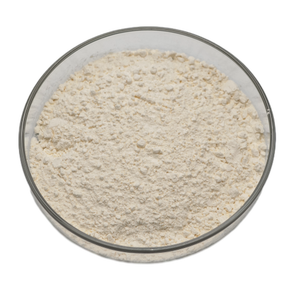 Toptan Fiyatlı Allium Sativum Ekstresi Gıda Sınıfı Sarımsak Ekstresi <span class=keywords><strong>Allicin</strong></span> Tozu Toplu Olarak - Product Image 2