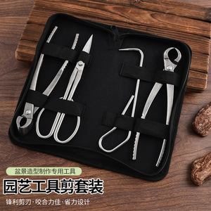 Juego de herramientas para bonsái, tijeras de podar de acero inoxidable con bolsa Oxford portátil para dar forma al jardín y recortar plantas - Product Image 3