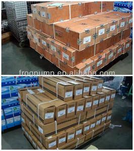 Fabricante de Bombas Sumergibles <span class=keywords><strong>Frog</strong></span>, Bombas Sumergibles de 4 Pulgadas, Bomba de Pozo Profundo Número 1 de China, Alta Calidad - Product Image 5