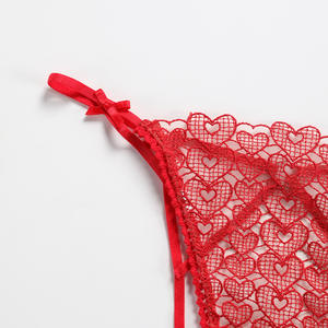 Tangas Sexys de Encaje Ladymate ODM/OEM, Tangas Transparentes para Mujer, Ropa Interior Bordada, Tangas con <span class=keywords><strong>Tanga</strong></span>, Tangas Sexys de Encaje - Product Image 4