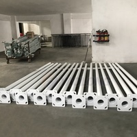 6M 8M 10M 12M In Alluminio/acciaio Inox/Acciaio Zincato Strada Palo Della Luce Tapered Strada Pali Della Luce Lampada Palo Della Fornitore