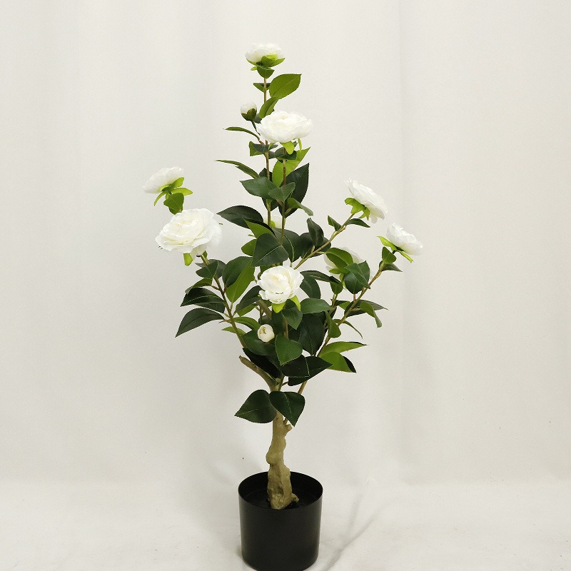 80cm white
