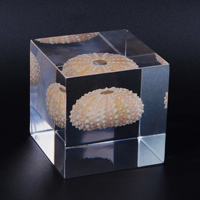 Décoration de bureau en acrylique avec épine de mer rose intégrée, spécimen marin haute transparence, décoration d'intérieur, artisanat en résine