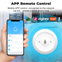 Home Assistant App Surveillance à distance Zigbee Capteur d'eau Tuya Détecteur de fuite d'inondation pour cuisine/salle de bain