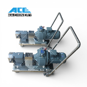 Pompe de transfert à lobes rotatifs en acier inoxydable sanitaire à haute viscosité pour sirop, mélasse, miel – Meilleur prix - Product Image 6