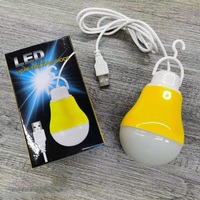 Petites ampoules Led 1m fil 5W 5V PP Mini DC coloré coque Usb ampoule lumière