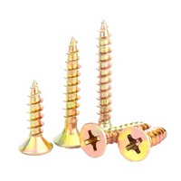 M3 M3.5 M4 M5 M6 Hoge Kwaliteit Klasse 4.8 Koolstofstaal Geel Gegalvaniseerd Verzinkt Verborgen Camera Gipsplaat Schroef Spionagecamera Schroeven