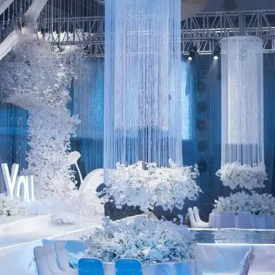 Wedding装飾Cheap Fringe Line Ceiling Drape White Spaghetti String Curtain