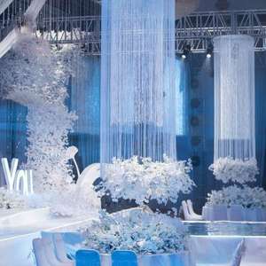 Décoration <span class=keywords><strong>de</strong></span> mariage, ligne <span class=keywords><strong>de</strong></span> franges bon marché, drapé <span class=keywords><strong>de</strong></span> plafond, <span class=keywords><strong>rideau</strong></span> <span class=keywords><strong>de</strong></span> ficelle blanche spaghetti - Product Image 1