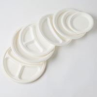 Assiette jetable biodégradable et compostable en bagasse de canne à sucre à 3 compartiments de 10 pouces pour l'emballage alimentaire de fêtes et de buffets