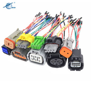 चीन पेशेवर तार केबल असेंबली कारखाने उत्पादन सभी प्रकार के कस्टम तार का उपयोग कस्टम केबल तार - Product Image 5