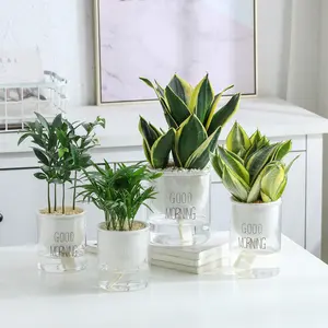 Simple desktop potted plant lazy glass ceramic flower pots planters home decoration self watering plant pot