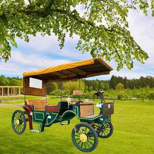 Caleches Turísticas 2025, Carretas Europeas Tiradas por Caballos, Carruajes para Bodas, Carruaje Eléctrico OEM - Product Image 2