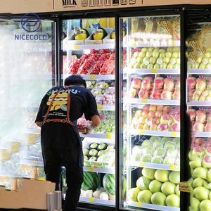 ตู้แช่<span class=keywords><strong>เย็น</strong></span>และแช่แข็งแบบเดินเข้าได้ 8 ประตู กระจกใส <span class=keywords><strong>ราคา</strong></span>โรงงาน สำหรับร้านค้าปลีก - Product Image 6