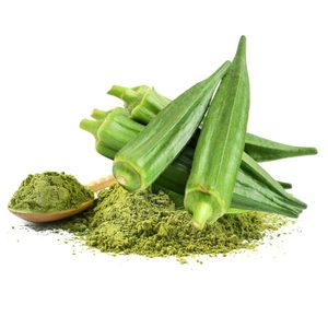 Poudre d'okra 100% OEM, riche en antioxydants et en vitamines, haute teneur en fibres alimentaires, poudre d'okra naturelle - Product Image 3