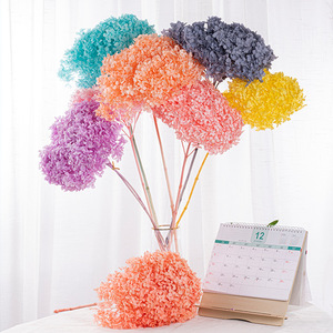 Matériel DIY : Fleur d'hortensia Anna éternelle et colorée, fleur préservée pour toujours - Product Image 4