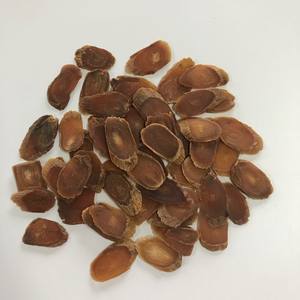 Poudre et tranches rouges de qualité alimentaire biologique provenant d'une usine riche en saponines actives - Product Image 2