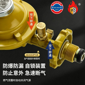วาล์วลดแรงดันซิลค์ดรีม 1/2 นิ้ว มาตรฐานแห่งชาติ สำหรับถังแก๊ส ใช้ในครัว - Product Image 2