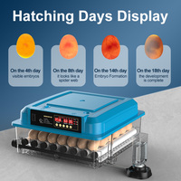 Nouvelle couveuse automatique DC/AC 128 œufs pour l'incubation des œufs de poule en agriculture
