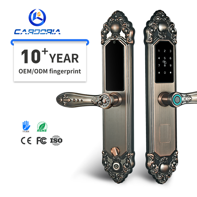 Classic European Style Electronic Automatic Fingerprint Door Lock System TTlock App Control Password IC ID Card Door Lock