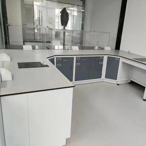 Mesa de Laboratorio de Acero Personalizada por el Fabricante, Muebles de Laboratorio Resistentes a Químicos para Sala de Laboratorio Físico - Product Image 4