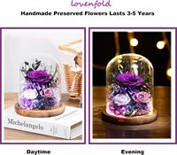 Cadeaux de roses éternelles pour femmes, fleurs longue durée sous cloche en verre pour maman et amies (Rose violette de Chine 1,05 lb)