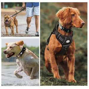 Haute qualité k9 chien gilet harnais et laisse collier ensemble réglable tactique sans tirer Logo personnalisé chien harnais ensemble avec collier de laisse