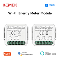 Module d'interrupteur intelligent WiFi Tuya 1 ou 2 voies avec surveillance de la consommation d'énergie AC 100-240V, module d'interrupteur de mesure de puissance