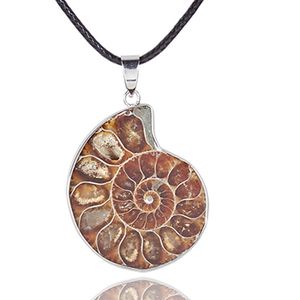 Collares con Colgante de Piedra de Amonita Natural para Mujer y Hombre, Estilo Vintage, Joyería de Moda Única para la Playa y Regalos de Cumpleaños - Product Image 6