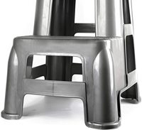 Tabouret étagé en plastique moulé, échelle à 2 marches, en polypropylène
