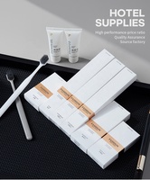 Ensemble complet d'articles de toilette de luxe pour hôtels : brosse à dents, shampoing, savon, peigne, bonnet de douche, kit de toilette personnalisé avec logo pour hôtels