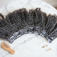 Extensions de cheveux à clips Afro Kinky Curly, prix d'usine en gros, extensions de cheveux vierges brésiliennes à clips