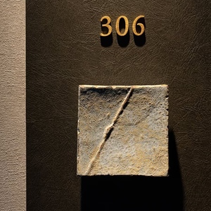 Targhe per Porte LED di Lusso Eco-Friendly, Moderne in Acrilico 3D IP65 Impermeabili, Numeri Civici per Uffici, Appartamenti, Ville, Bagni e Hotel - Product Image 2