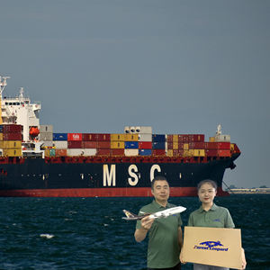 <span class=keywords><strong>Tarifas</strong></span> de Flete Marítimo Más Baratas Agente de Drop Shipping de China a Alemania Francia Italia México Reino Unido EE. UU. FBA <span class=keywords><strong>Amazon</strong></span> DDP Agente de Carga - Product Image 6