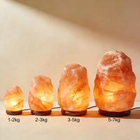 Lámpara de Sal del Himalaya al por Mayor, Cristal Rosa Natural, Interruptor de Atenuación, Hecha a Mano, Tacto Real, Forma Natural, Decoración Navideña