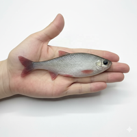 Moule à leurres souples en plastique, injection personnalisée, appât réaliste pour la pêche au bar, fabrication de matériel de pêche DIY, résistant à la chaleur