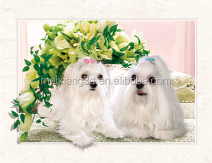 <span class=keywords><strong>Affiche</strong></span> animée en plastique 3D lenticulaire MEIXIANG, personnage de <span class=keywords><strong>film</strong></span> et de télévision, animation de retournement, peinture sportive, modèle 3040 - Product Image 6