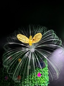 ไฟสวนใยแก้วนำแสง LED พลังงานแสงอาทิตย์ กันน้ำ ดีไซน์รูปผึ้งและแมงกะพรุน มาตรฐาน IP65 ปรับอุณหภูมิสีได้ - Product Image 4