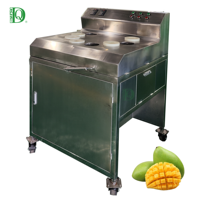 Dq Guangzhou Daqiao Industriële Commerciële Vers Fruit Snijden Verwerking Productielijn Kern Motor Mango Snijmachine