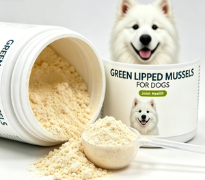 Suplemento al por mayor en polvo de mejillones verdes, suplemento para mascotas, mejillones verdes puros y naturales para la salud articular de perros - Product Image 3