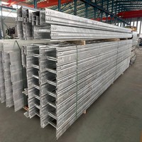 Échelle à câbles galvanisée à chaud en acier HDG pour projets extérieurs intensifs de fermes éoliennes et solaires